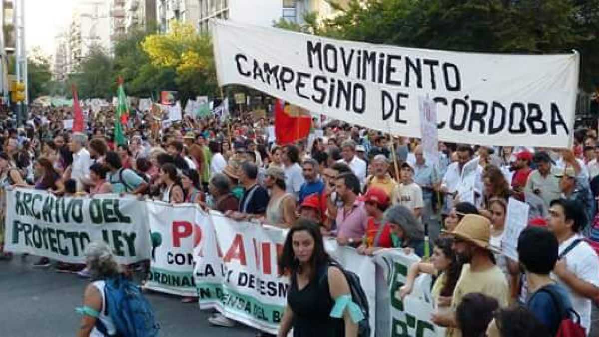 altText(Córdoba: masiva marcha contra los desmontes ante a la avanzada del gobierno provincial)}