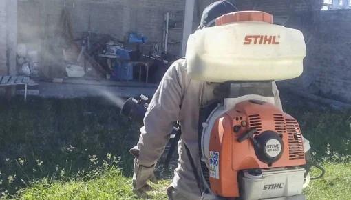 Insisten en la necesidad de erradicar criaderos de mosquitos
