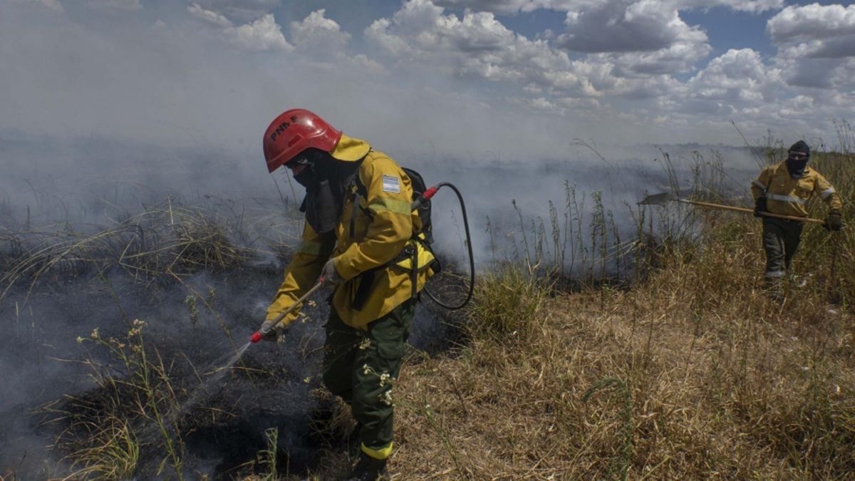 altText(Extinguieron el 80% de incendios en Corrientes y permanecen 2 focos activos)}