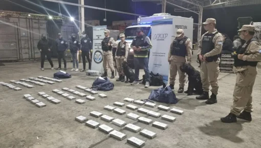 Prefectura encontró más de 78 kilos de cocaína escondida entre chía
