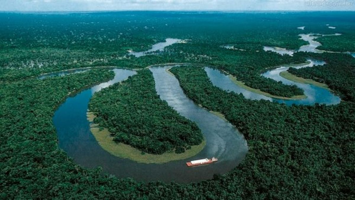 altText(La Amazonía y su importancia en la biodiversidad sudamericana)}