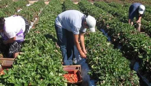 La PBA entregó financiamiento a 25 proyectos de producción de alimentos