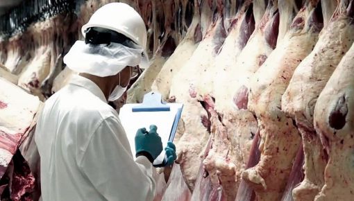 altText(Por primera vez el país exporta carne bovina a México)}