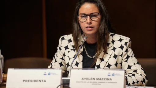 La ministra de Mujeres denunció a Viviana Canosa y Laura Di Marco ante el Enacom