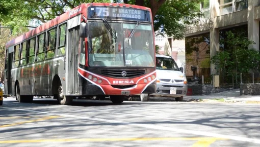 Seis provincias ya tienen su transporte público en emergencia