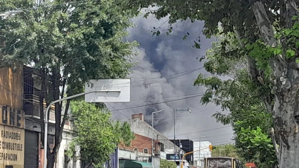 Se incendiaron seis vagones del tren Roca y sospechan que fue intencional