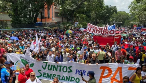 Chavistas celebraron decisión del TSJ que ratifica el triunfo de Maduro