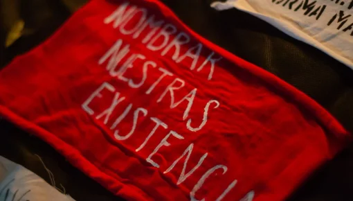 Día de la Visibilidad Lésbica: un colectivo que responde organizado a un Gobierno lleno de odio