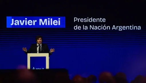 ¿Machismo, ignorancia o ambas? Milei culpó al feminismo por la baja de natalidad