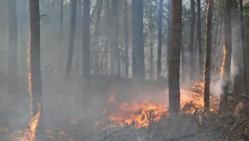 Declaran la emergencia ambiental en Córdoba por riesgo de incendios