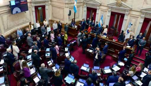 El Senado sesiona para rechazar los vetos por Garrahan y universidades