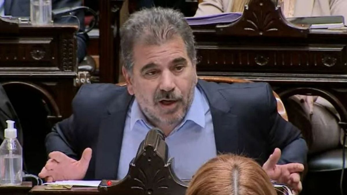 Ritondo regalado a la voluntad de Milei: 
