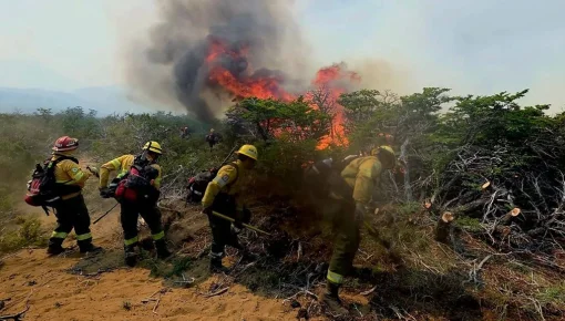 Aseguran que los incendios en Chubut son 