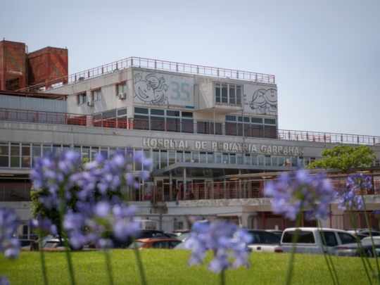 Otra proeza de la medicina en el Garrahan: inédita transfusión de sangre a bebé dentro del útero